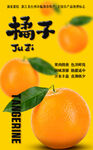 新鲜橘子海报