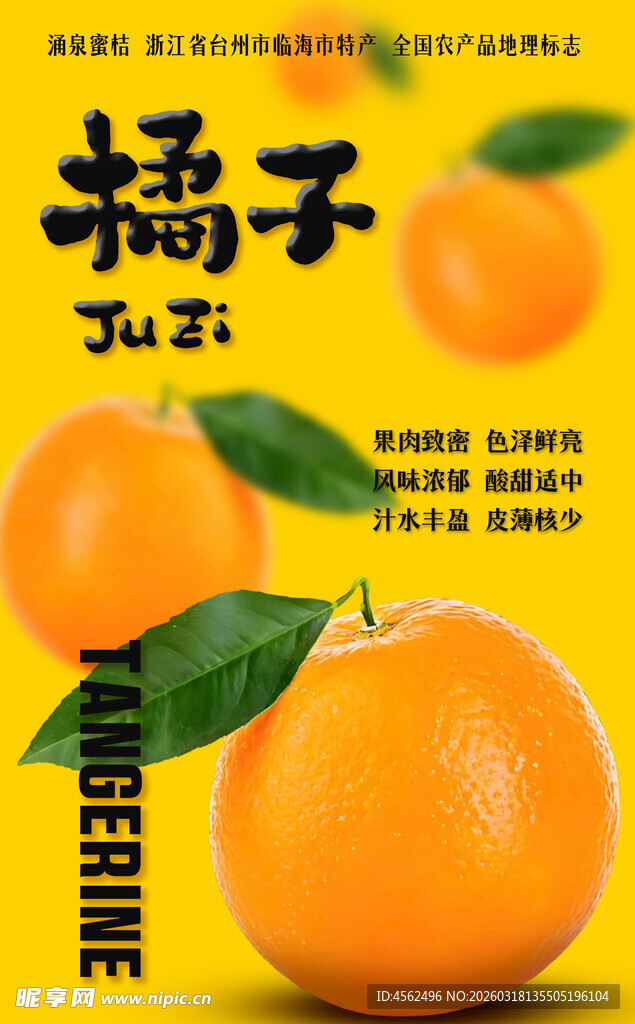 新鲜橘子海报