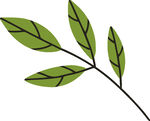 简约绿叶插画