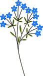 蓝色小花插画