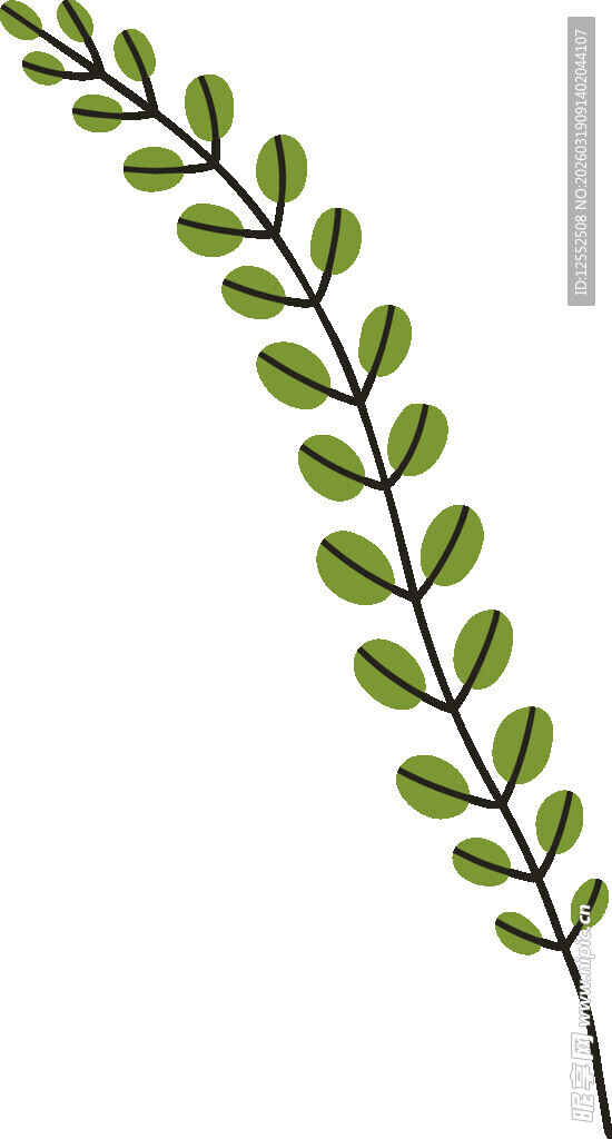 弯曲绿叶枝条装饰图案