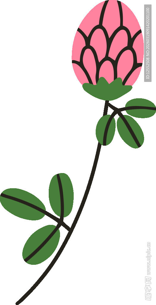 手绘粉色花朵插画