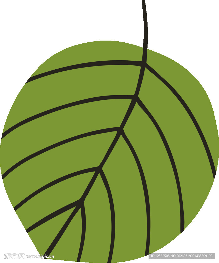 绿色圆形叶脉图案