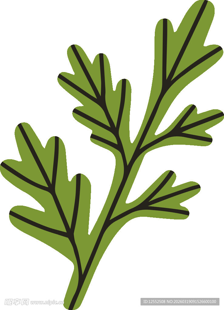 绿色枝叶插画