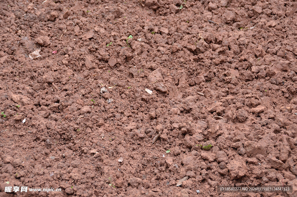 红褐色土壤特写