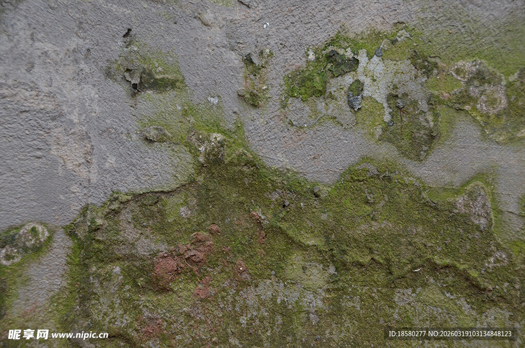 青苔覆盖的斑驳墙面