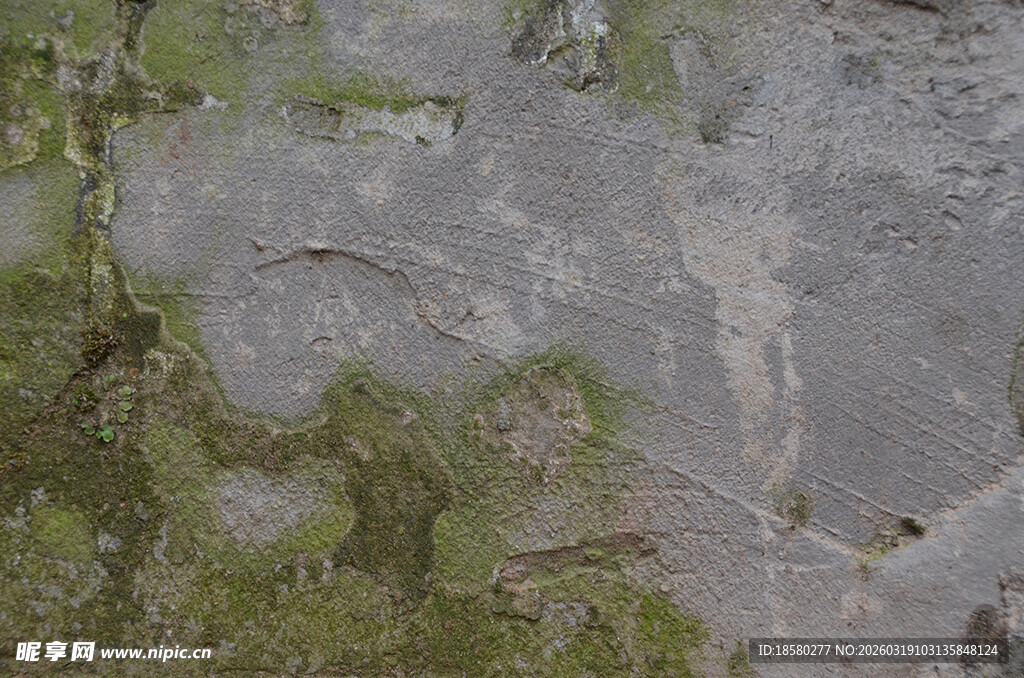 岩石上的斑驳苔藓景观