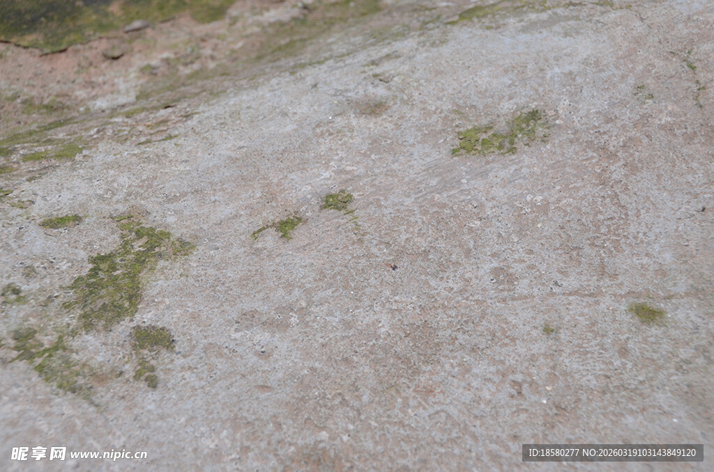 地面斑驳的苔藓痕迹