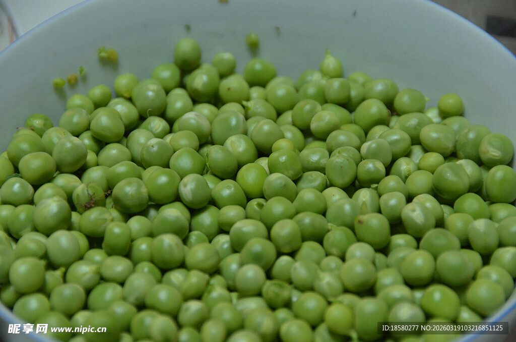 碗中鲜嫩饱满的青豌豆