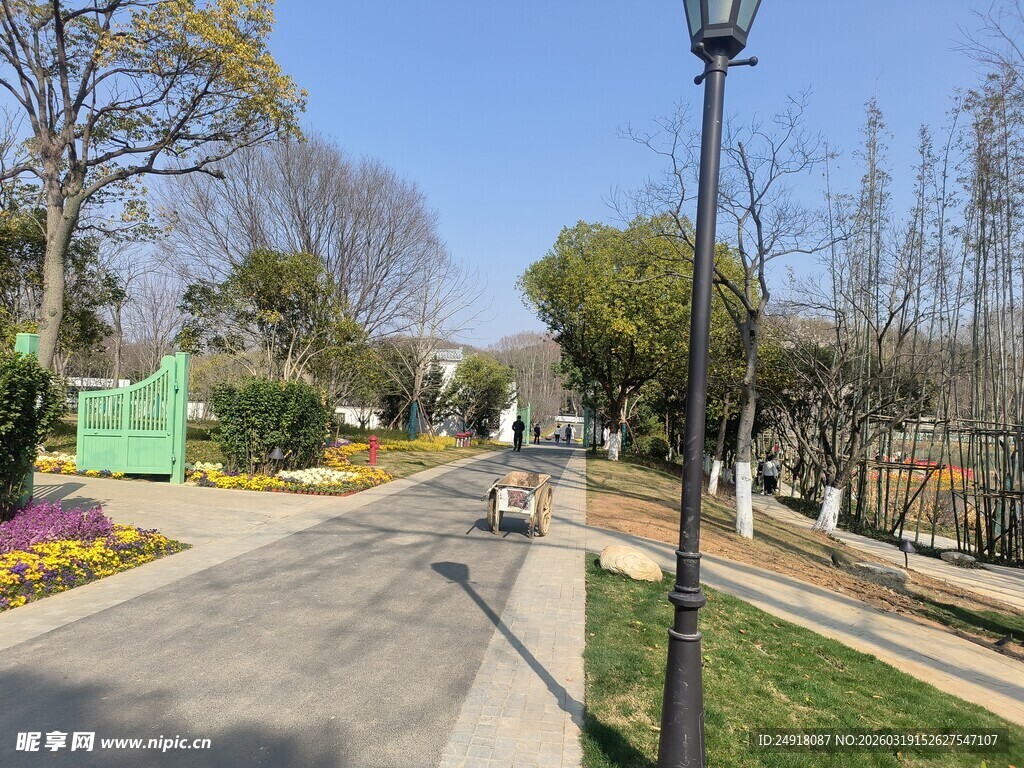 城市公园中的静谧小路