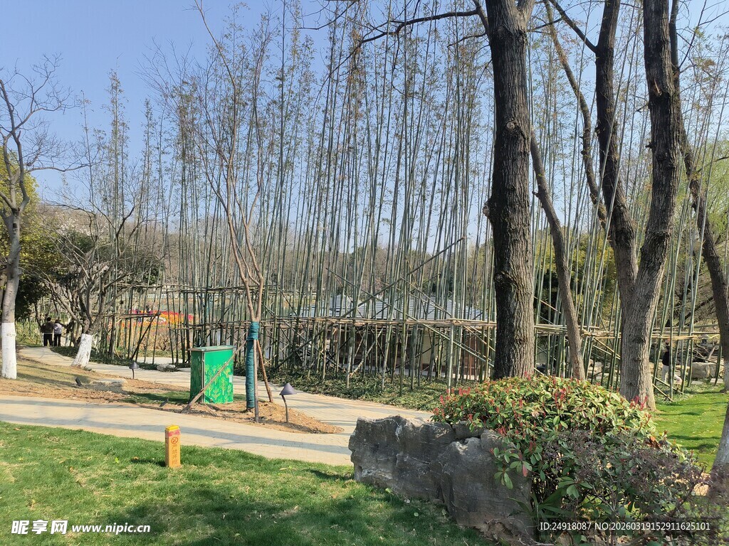 公园林间的休闲景致