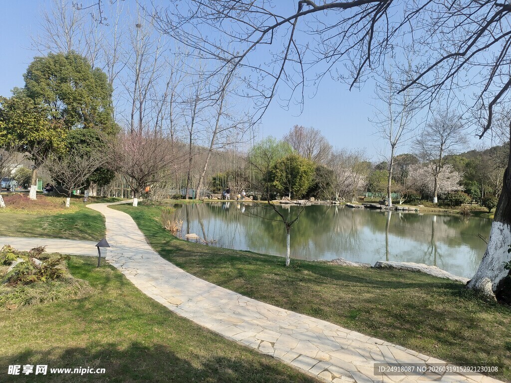 湖畔小径的自然风光