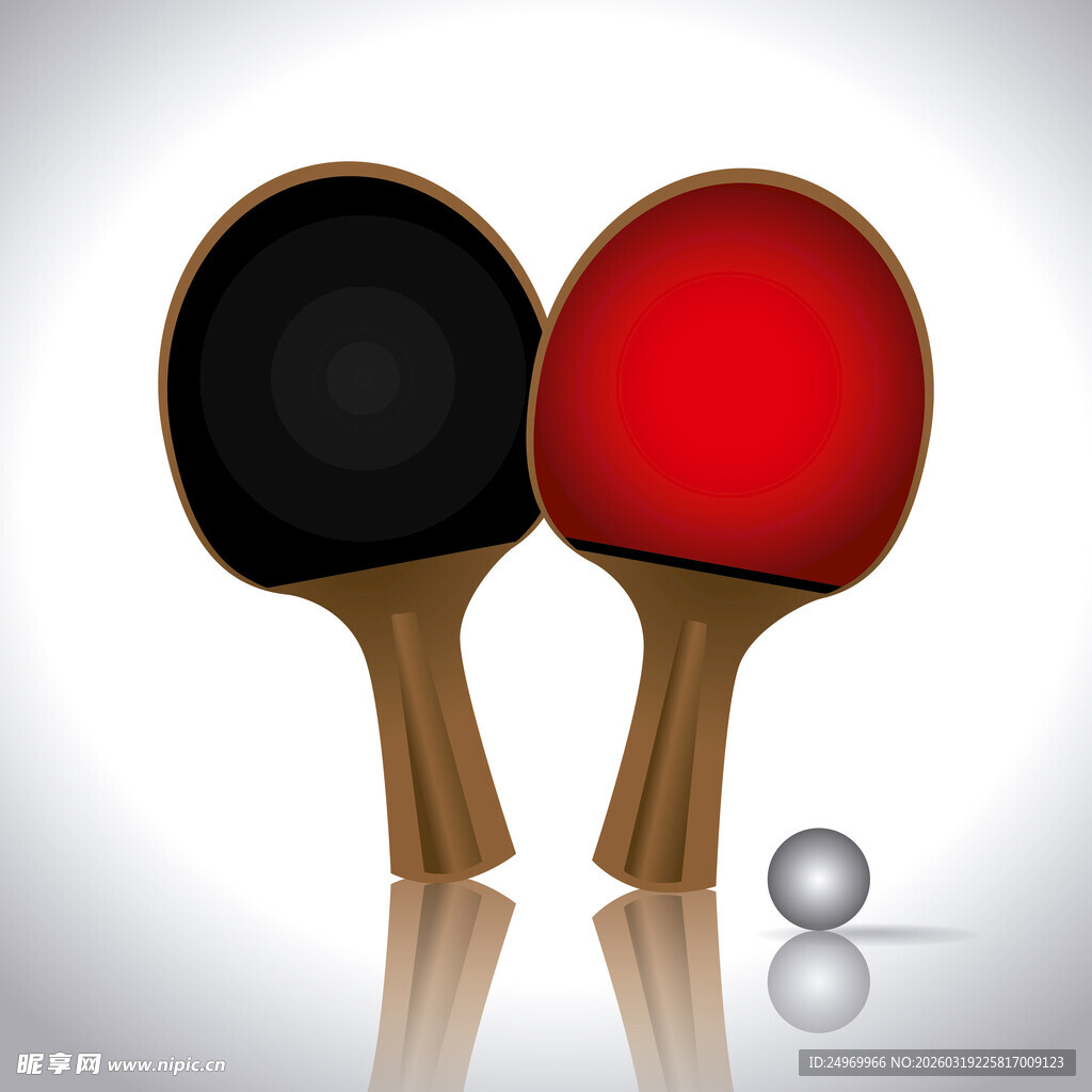 乒乓球拍与球的组合画面