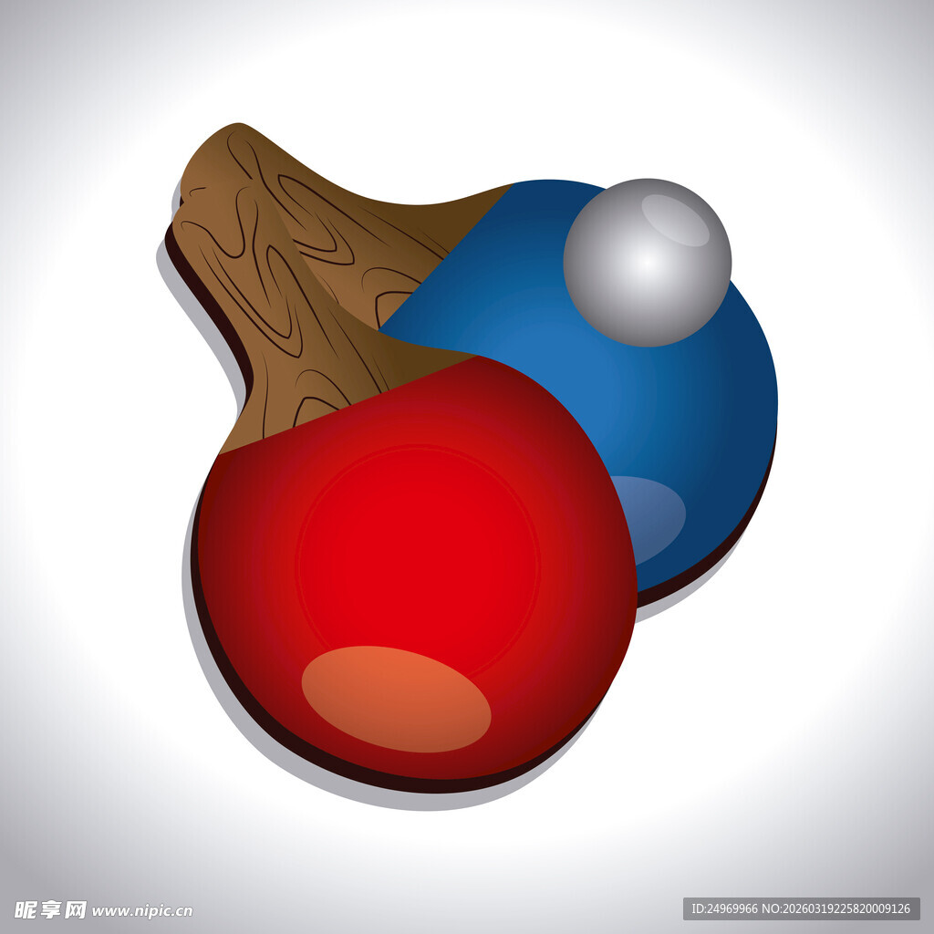 乒乓球与球拍的组合画面