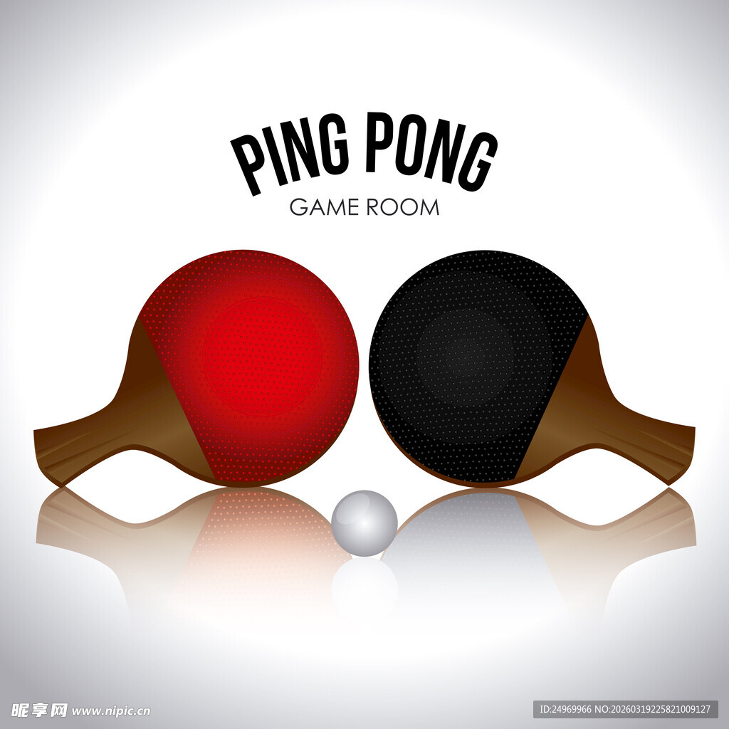 乒乓球拍与球的精彩组合