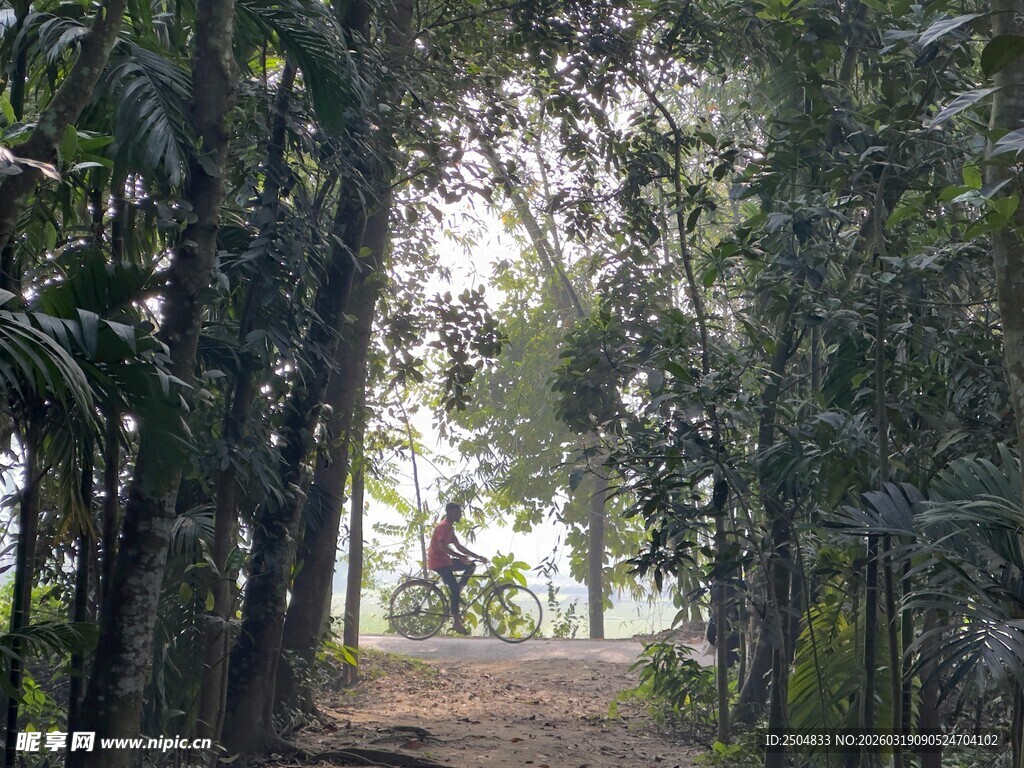 林间骑行路 自然好风光