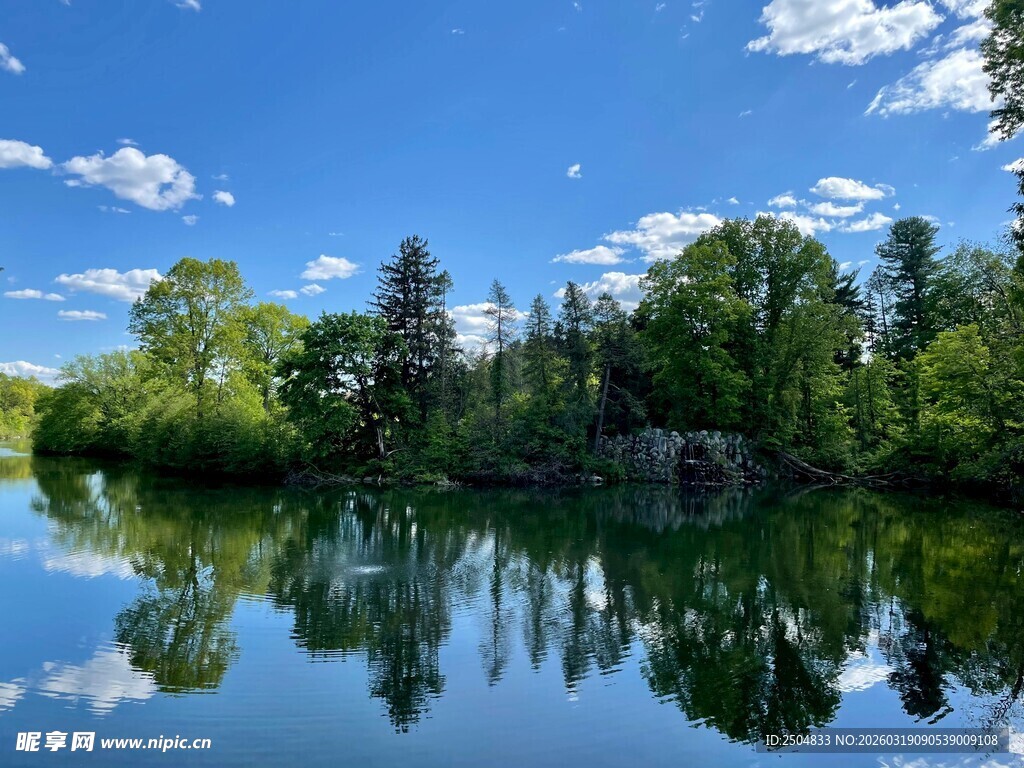 宁静湖畔的自然美景