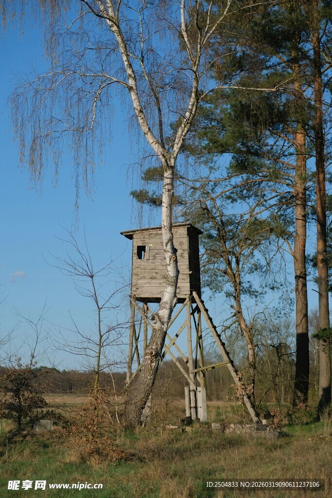 野外树顶狩猎瞭望小屋