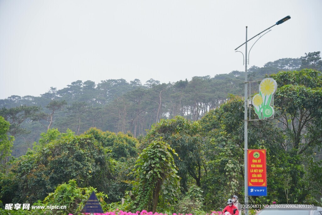 山间路旁的多彩景致