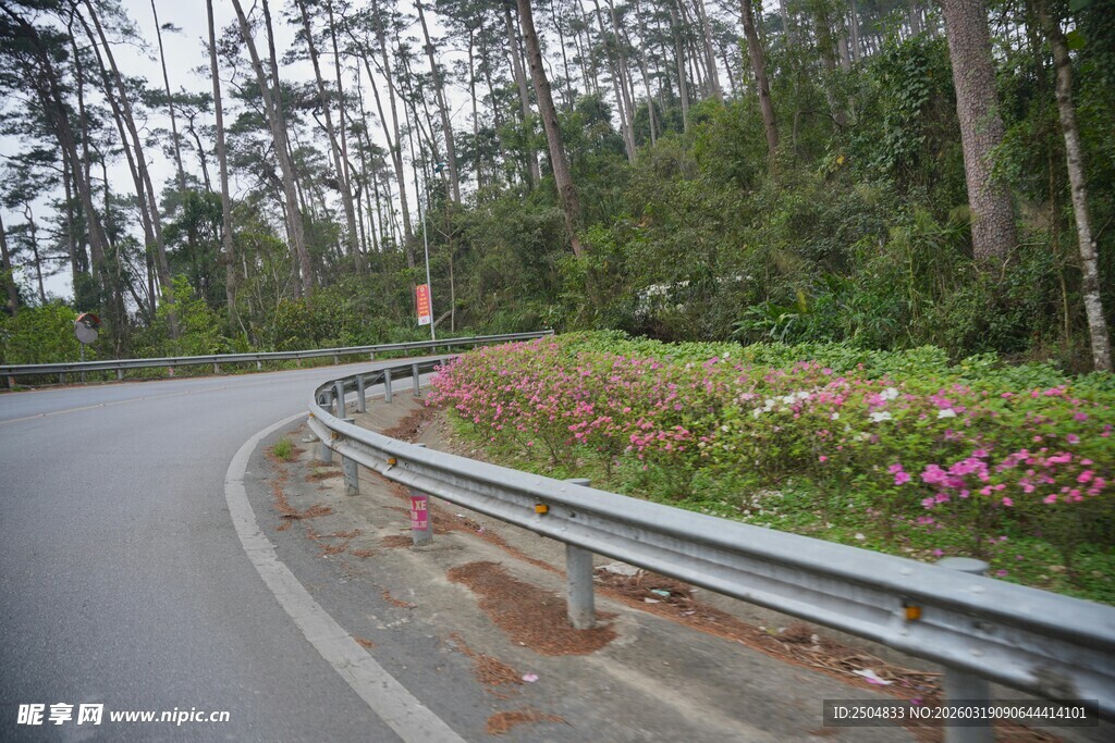 公路旁绿植鲜花相伴