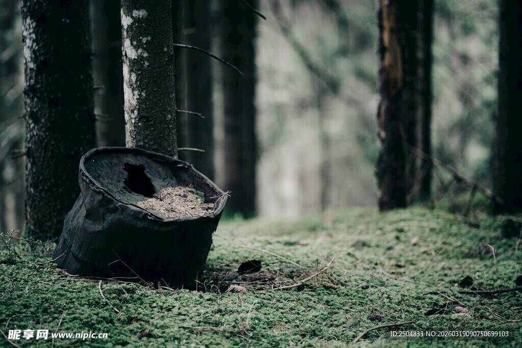 森林中的废旧铁桶