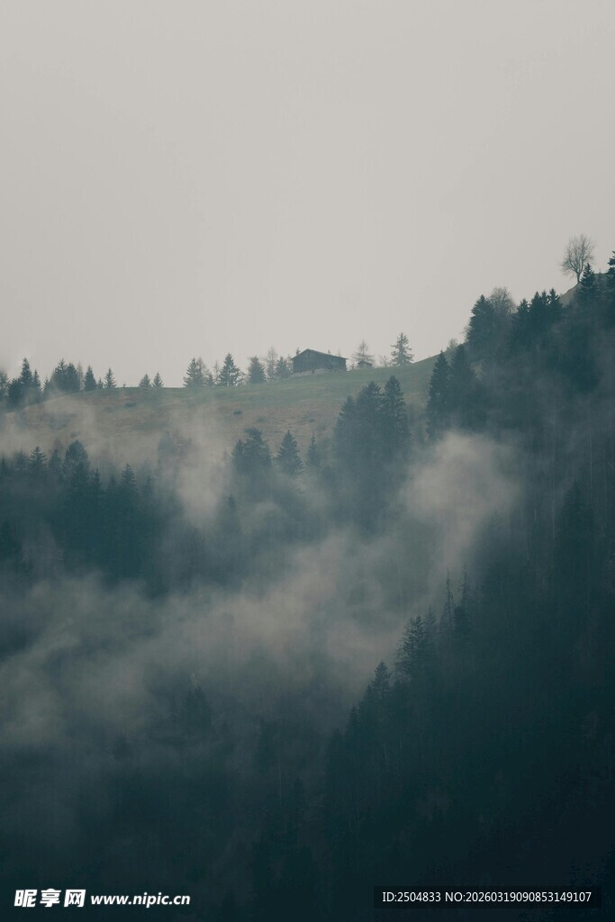 山间云雾缭绕的静谧景致