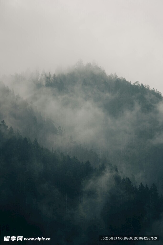 云雾缭绕的山林美景