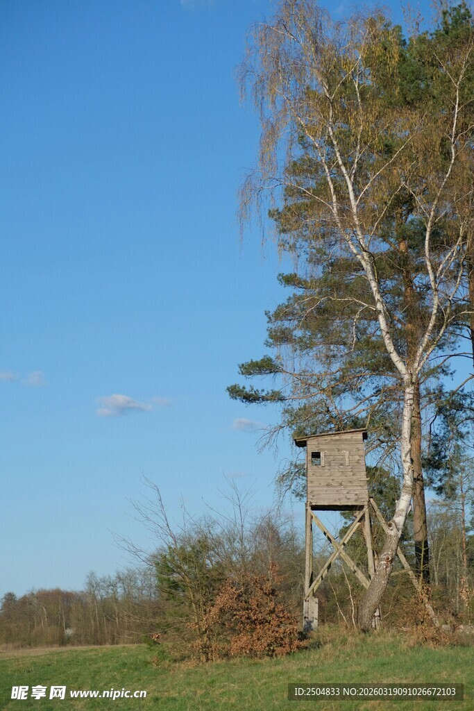 田野中的树顶鸟舍