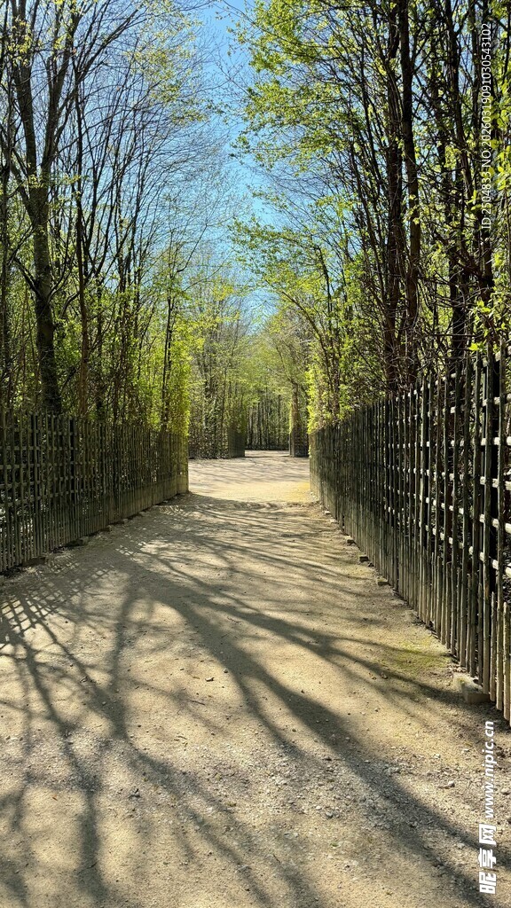 林间小道 光影斑驳的静谧处