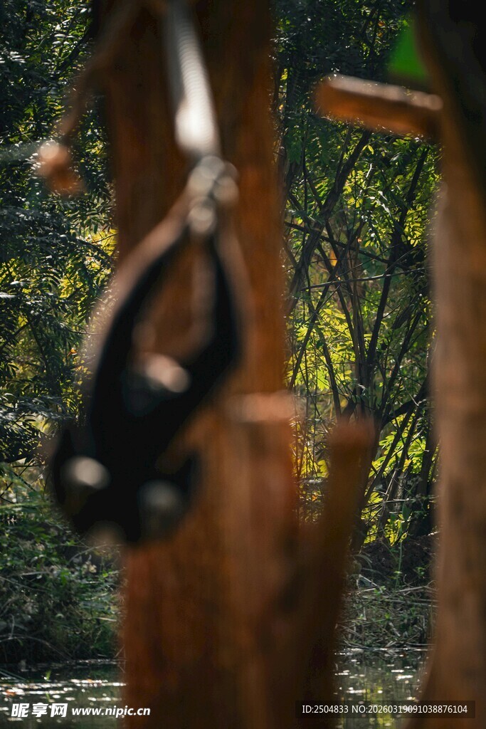 户外悬挂的黑色健身吊环