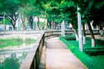 河畔绿荫下的宁静步道