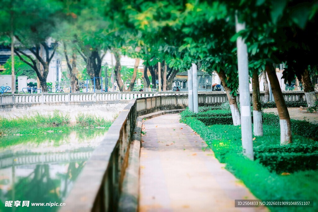 河畔绿荫下的宁静步道