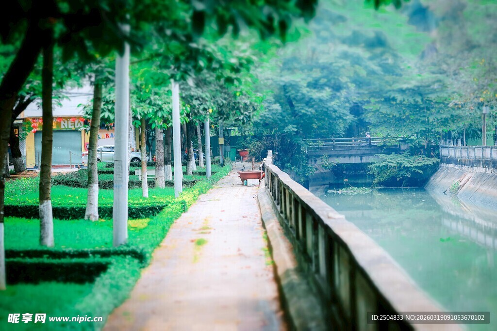 河畔林荫下的漫步小径