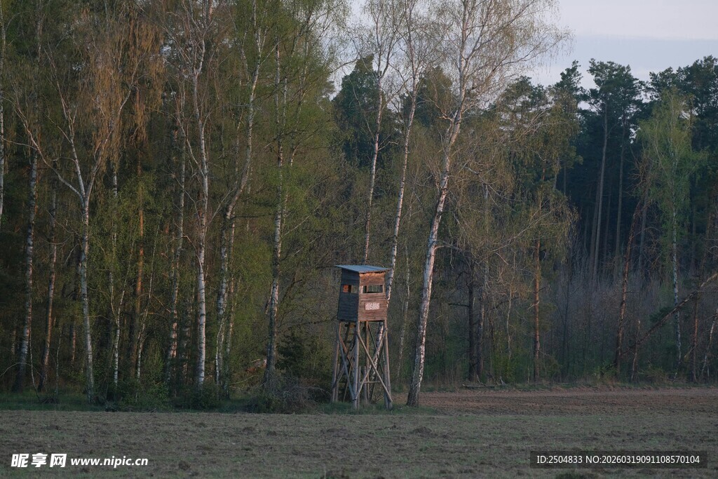 林间狩猎瞭望塔