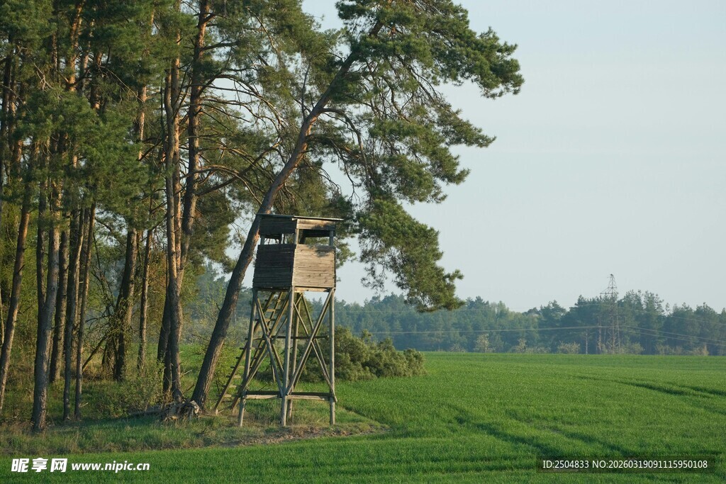 田野边的林间瞭望塔