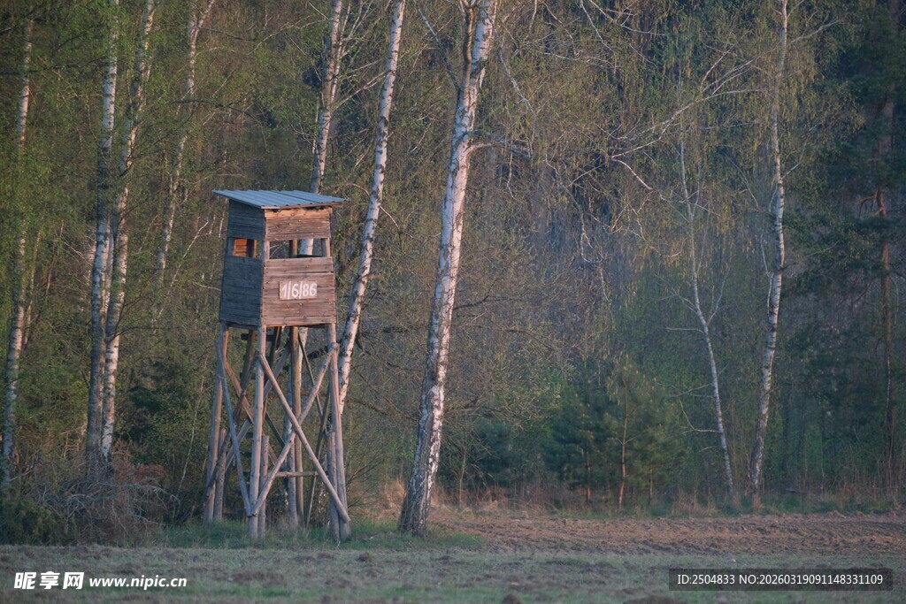 林中树顶的瞭望小屋