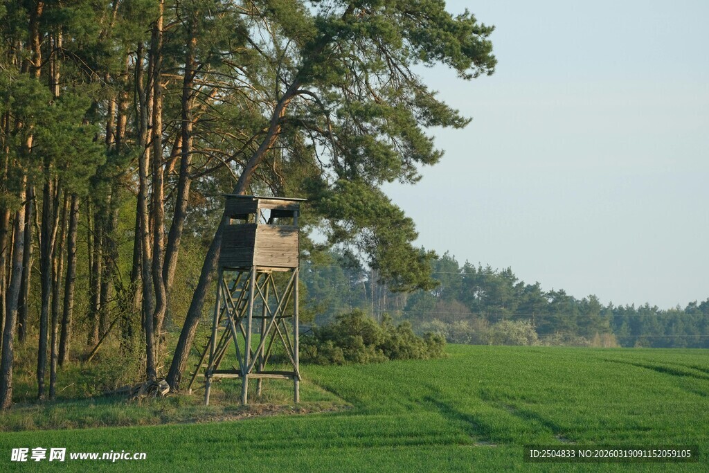 田野边的林间瞭望塔