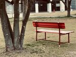 户外红长椅与树木景观