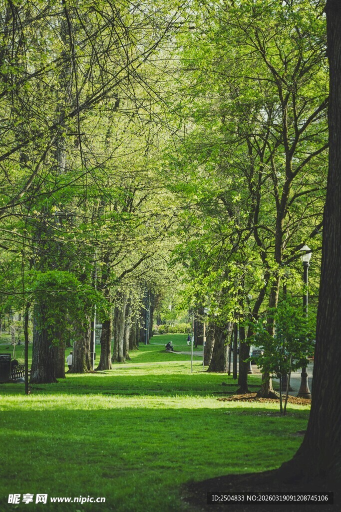 林间绿道 春日静谧美景