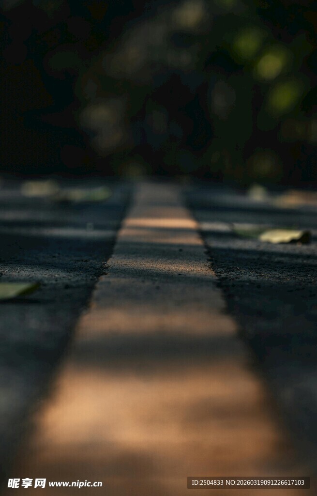 阳光洒落的林间小径