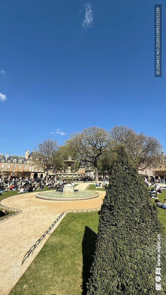 公园景观中的绿植与人群