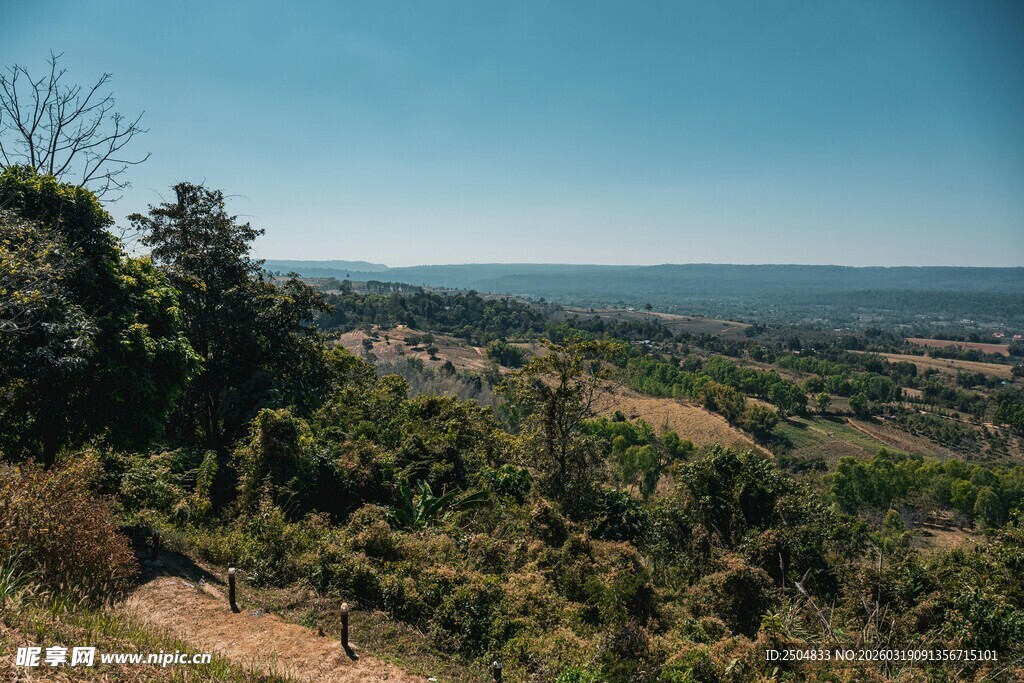 俯瞰绿意盎然的开阔景致
