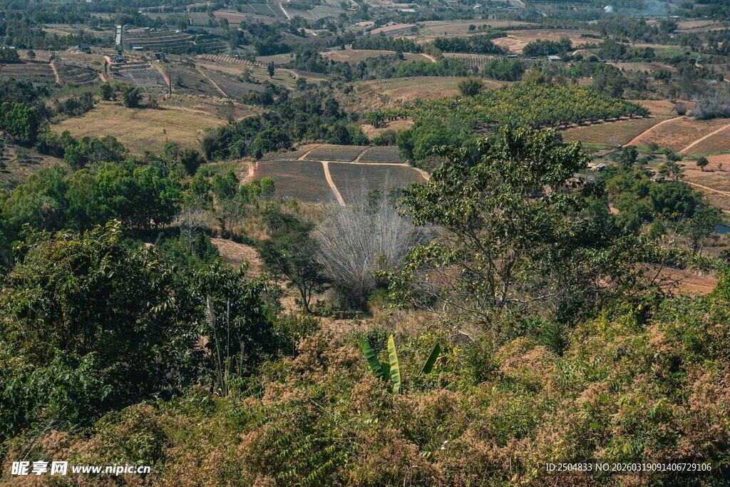 俯瞰山间建筑与繁茂植被