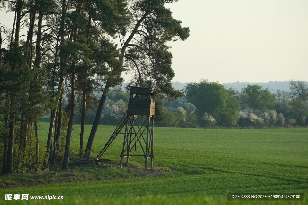 林间瞭望塔下的绿野风光