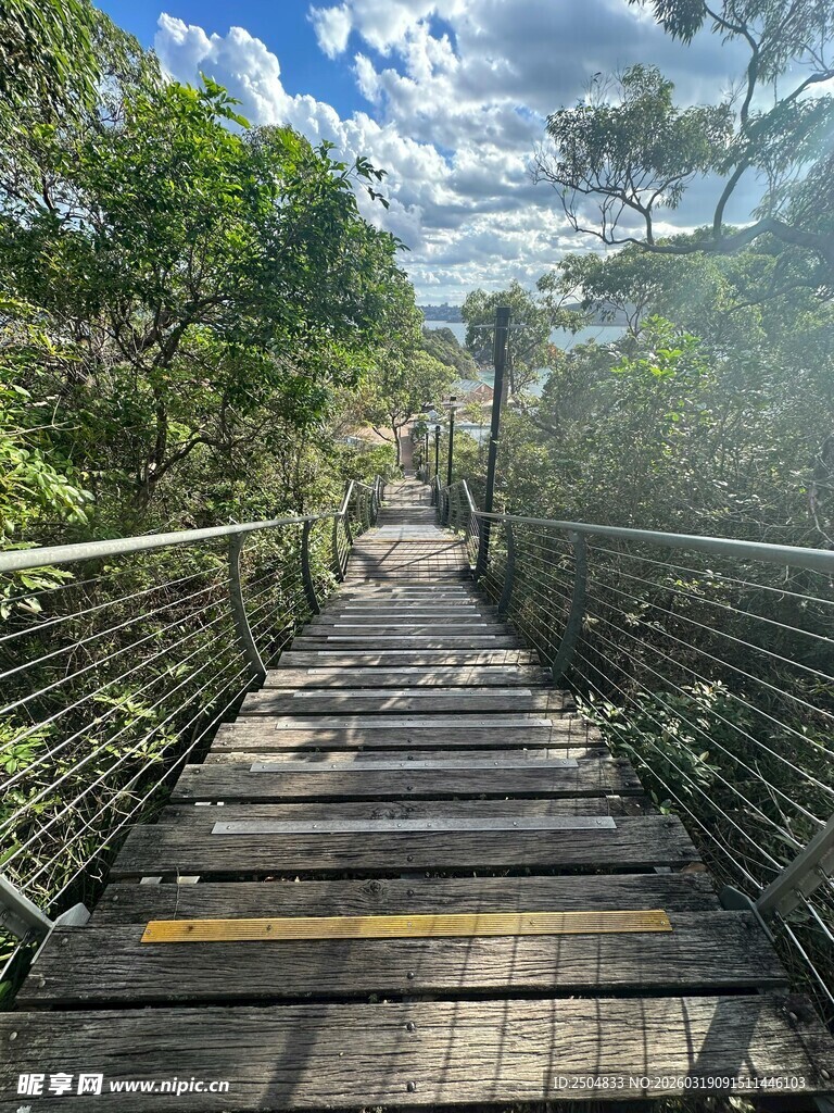 林间木桥 漫步自然清新处