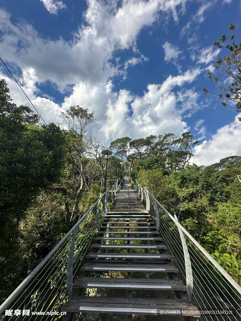 山间石阶 通往自然之境