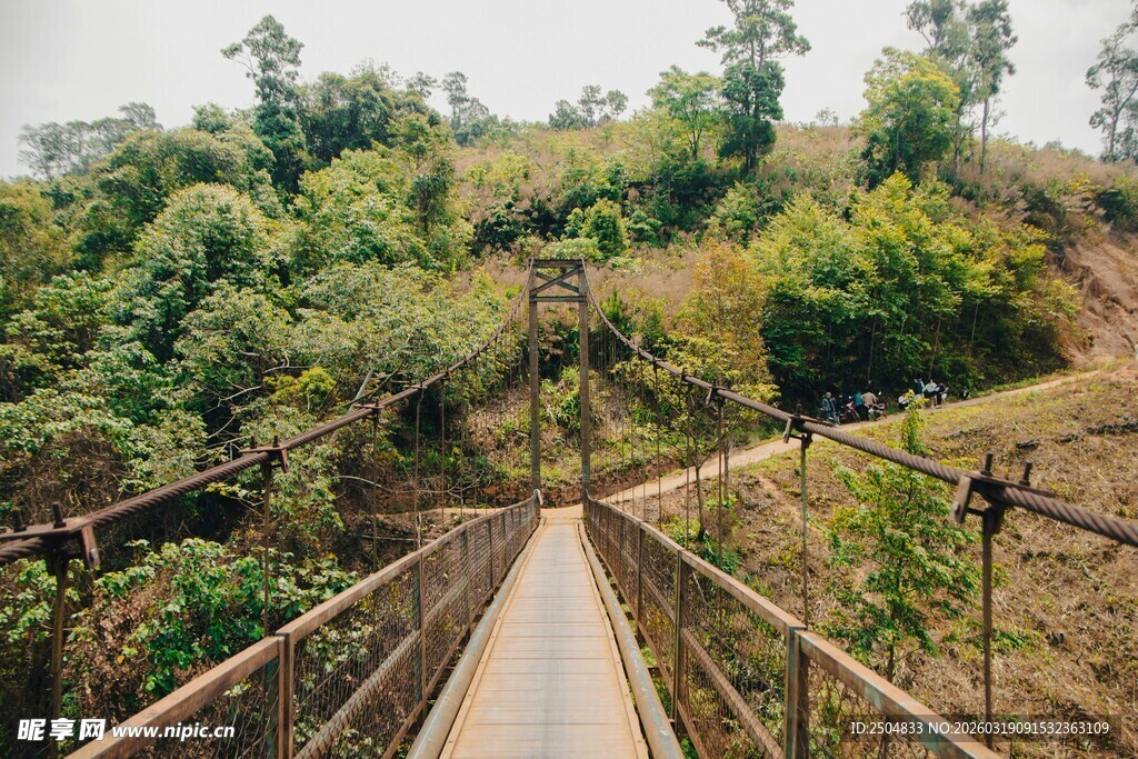 山间吊桥 绿意环绕的景致