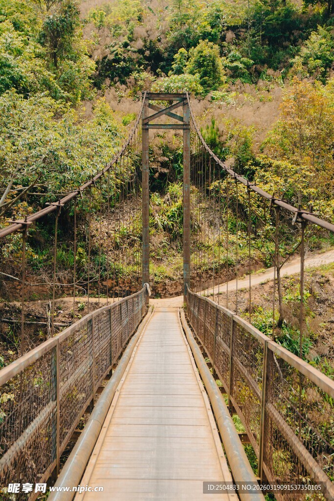 山间木质吊桥 自然景致