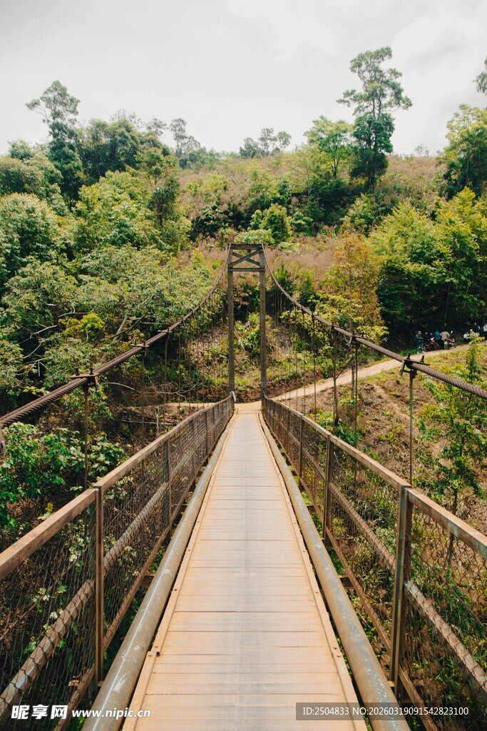 山间木桥穿行绿意之中