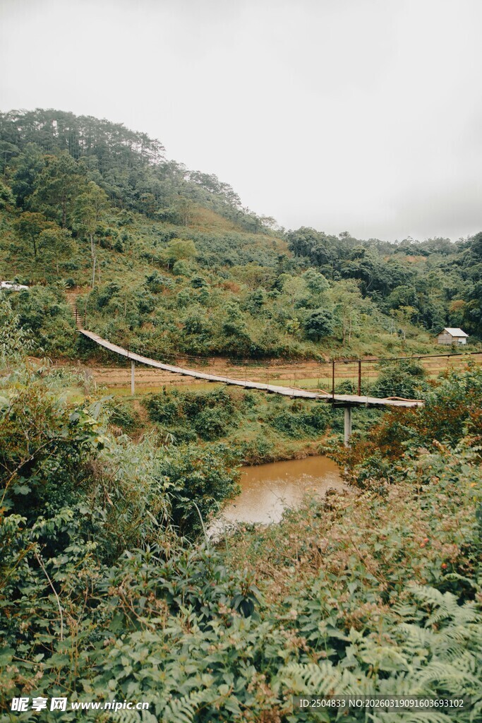 山间蜿蜒小道 绿意盎然